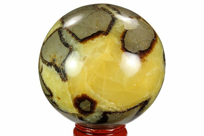 Polished Septarian Sphere - Madagascar #122915